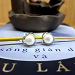 Bông Tai Ngọc Trai CHNT11